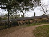 Glenmore Forest park 8000 Wingo Houston, Texas 77055 (24).JPG